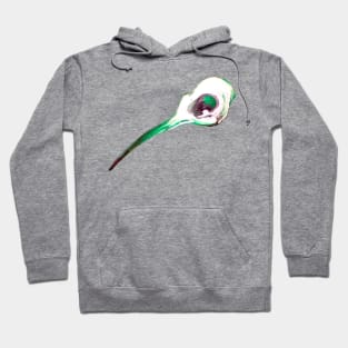 Hummingbird Skull Hoodie